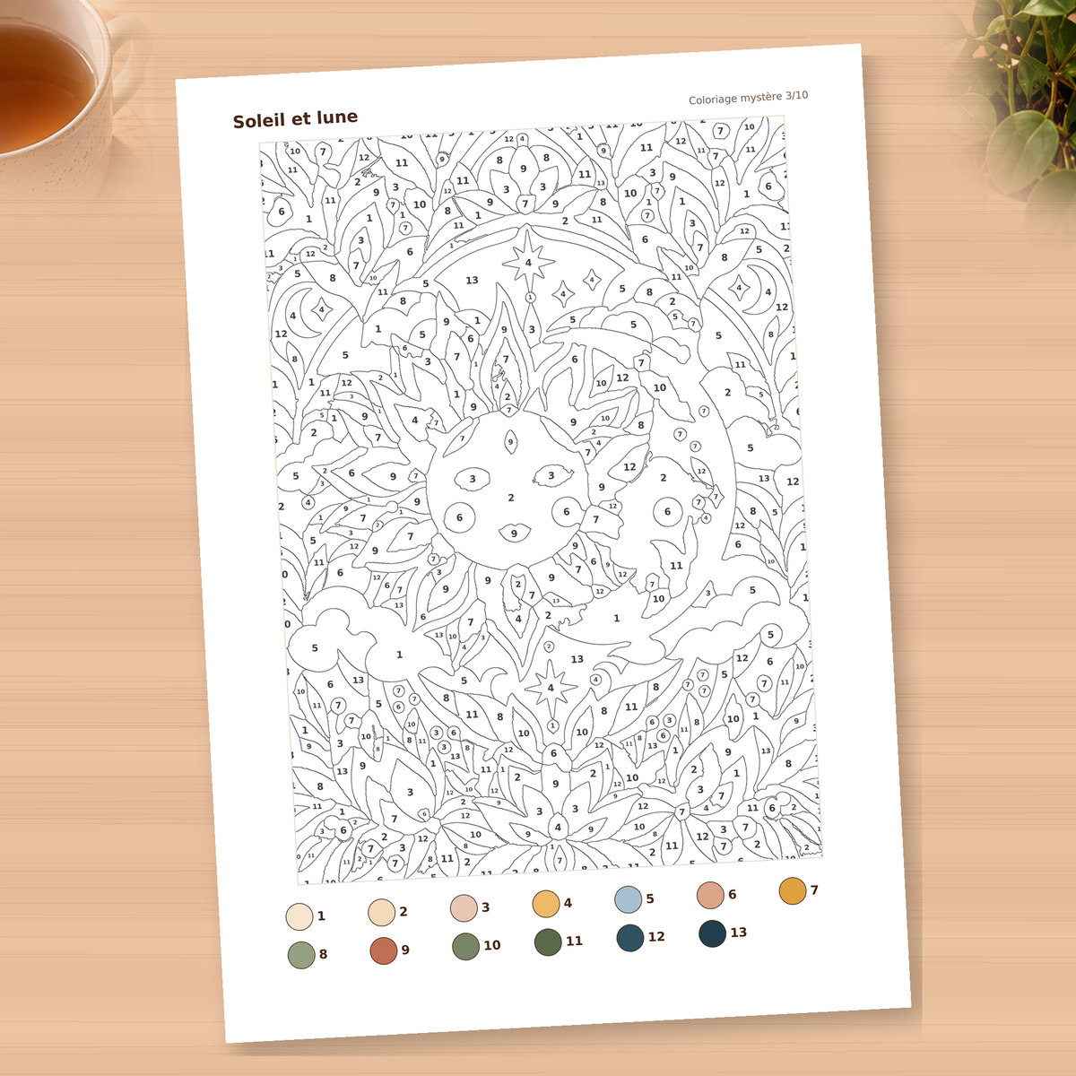 10 coloriages mystères
