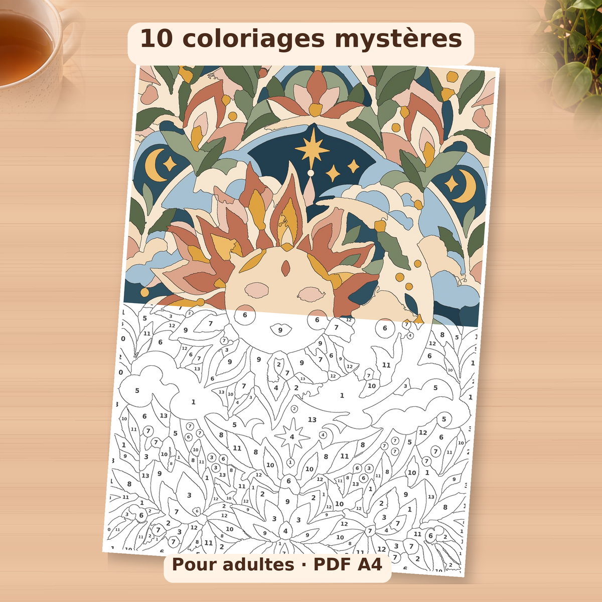10 coloriages mystères
