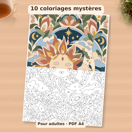 10 coloriages mystères