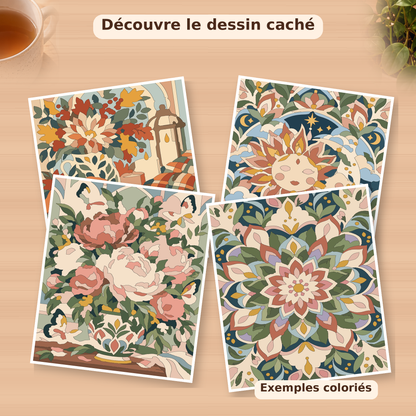 10 coloriages mystères