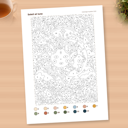 10 coloriages mystères